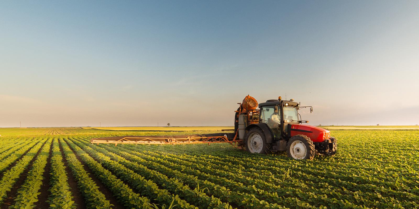 Produzione Agricola