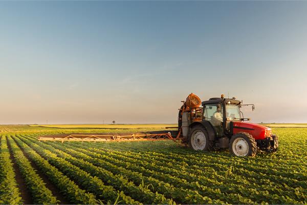 Produzione Agricola