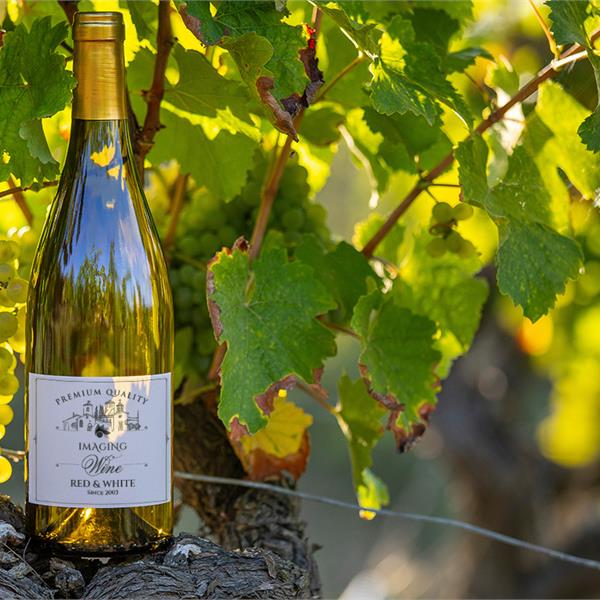 Etichette Vinicole
